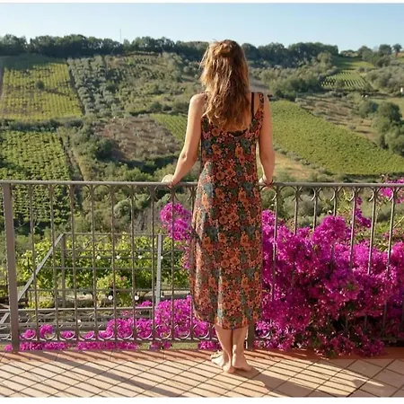 La Casa Di Stefania 公寓 Pollutri
