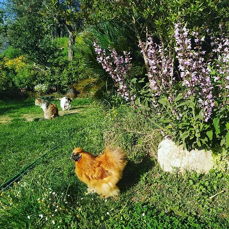 La Casa Di Stefania Lägenhet *