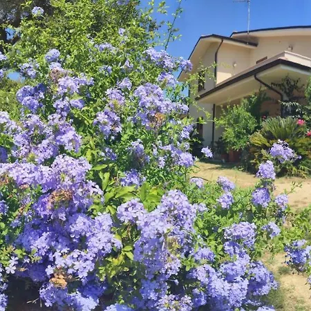 La Casa Di Stefania Pollutri
