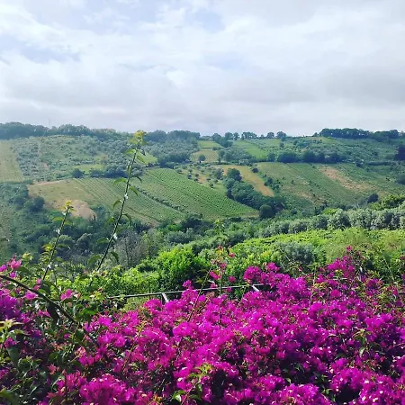 公寓 La Casa Di Stefania Pollutri