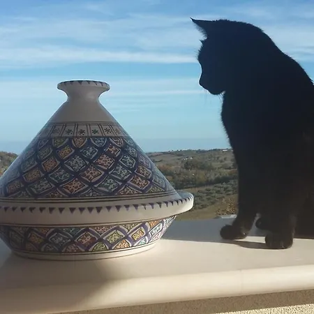 La Casa Di Stefania Lägenhet Pollutri