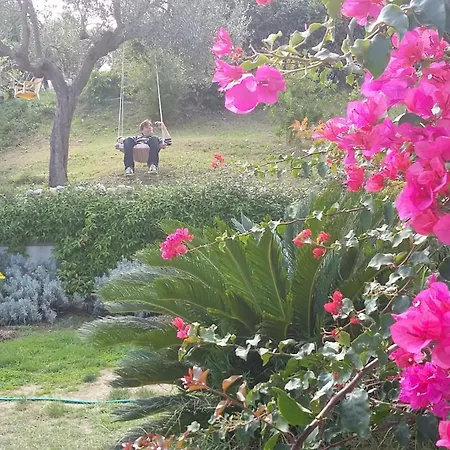 La Casa Di Stefania Lägenhet