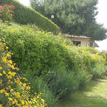 公寓 La Casa Di Stefania Pollutri