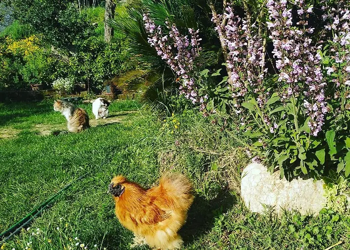 La Casa Di Stefania Apartamento *