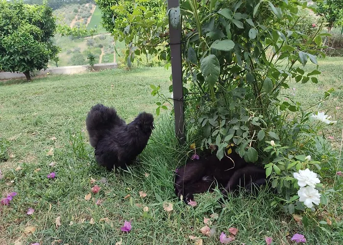La Casa Di Stefania Apartamento Pollutri