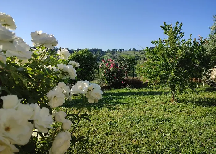 La Casa Di Stefania * Pollutri