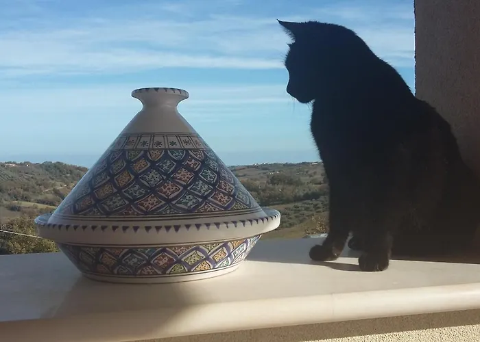 La Casa Di Stefania Apartamento Pollutri